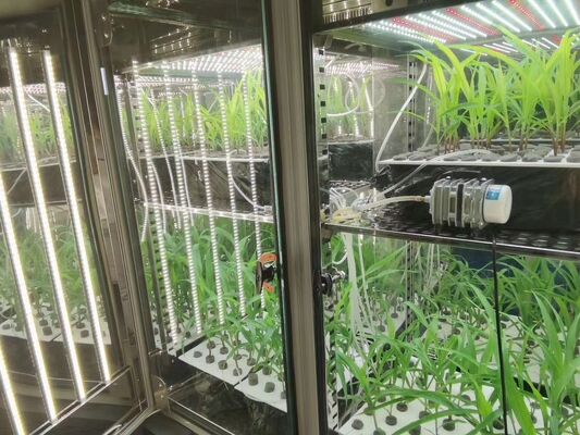 Liyi Plant Growth Chamber Artificiële klimaat Zaad Ontkiemingsmachine Plant Growth Box Incubator