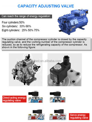 LIYI Temperatuur- en klimaatkamers Climatische doos Testruimte Controle Gecontroleerde stabiliteit Walk-in Omgevingskamer Prijs